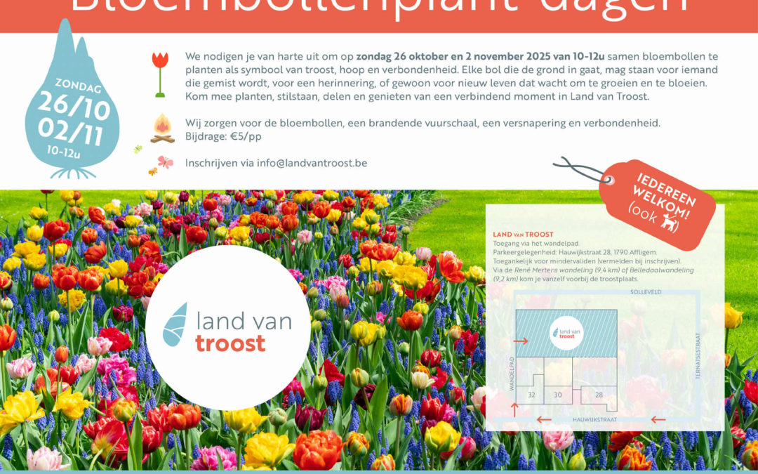 Bloembollen planten