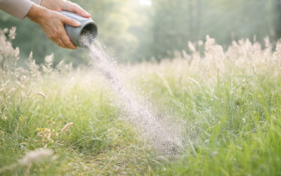 Nieuw: een laatste rustplaats in de natuur