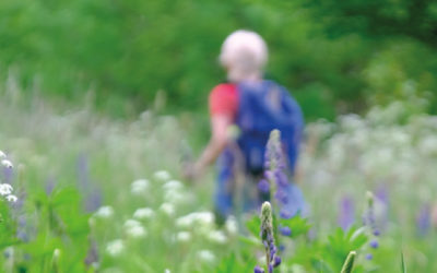 29/03/26 | Wandeling ‘Wat opnieuw mag groeien’